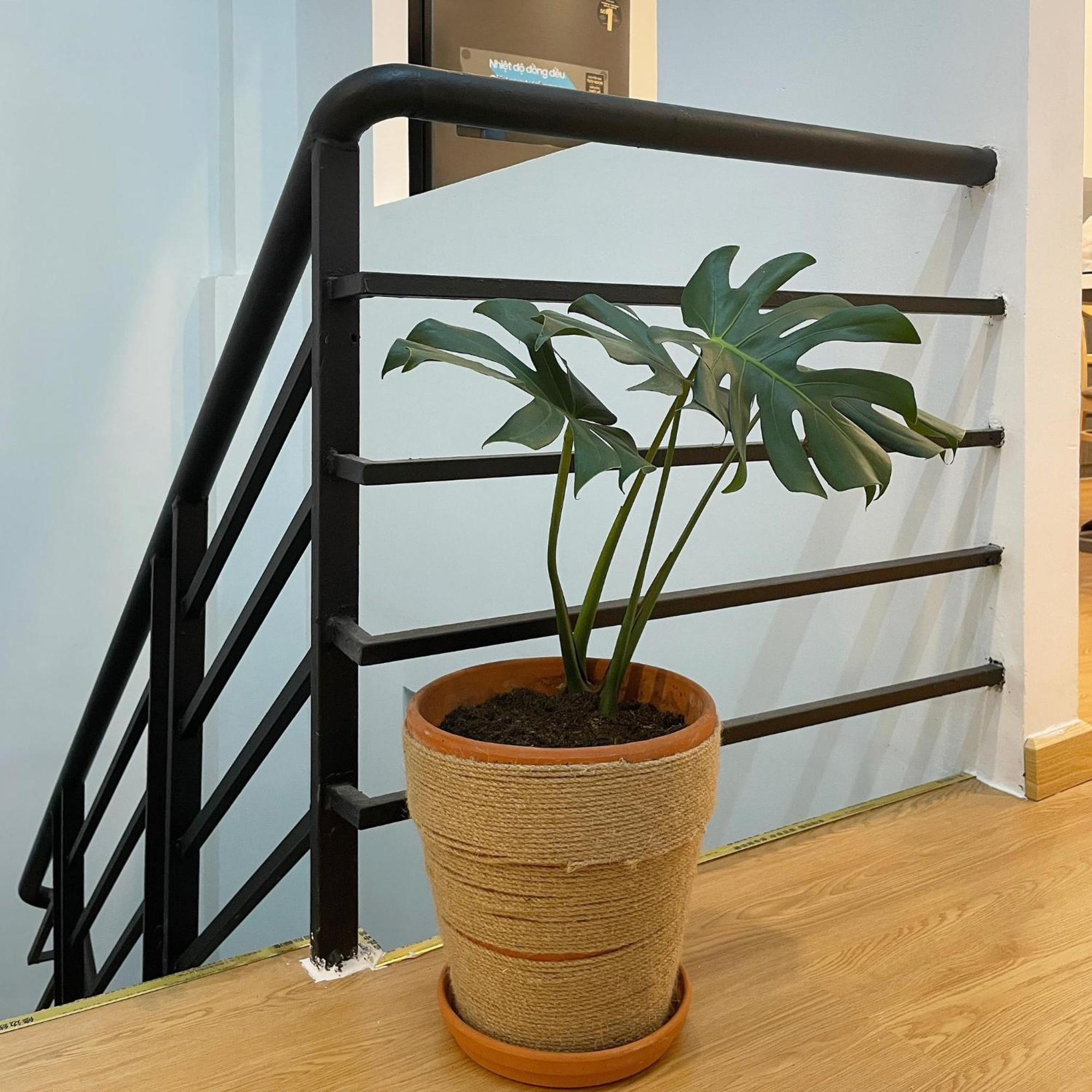 Alphabet Home Capsule Bandar Ho Chi Minh Luaran gambar